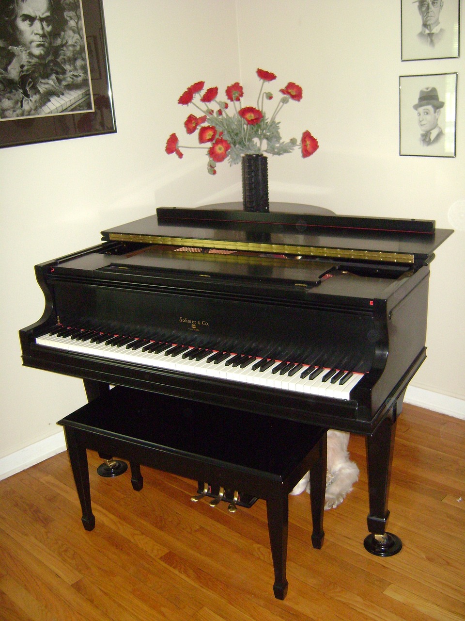 grand piano, instrument, keyboard-179724.jpg